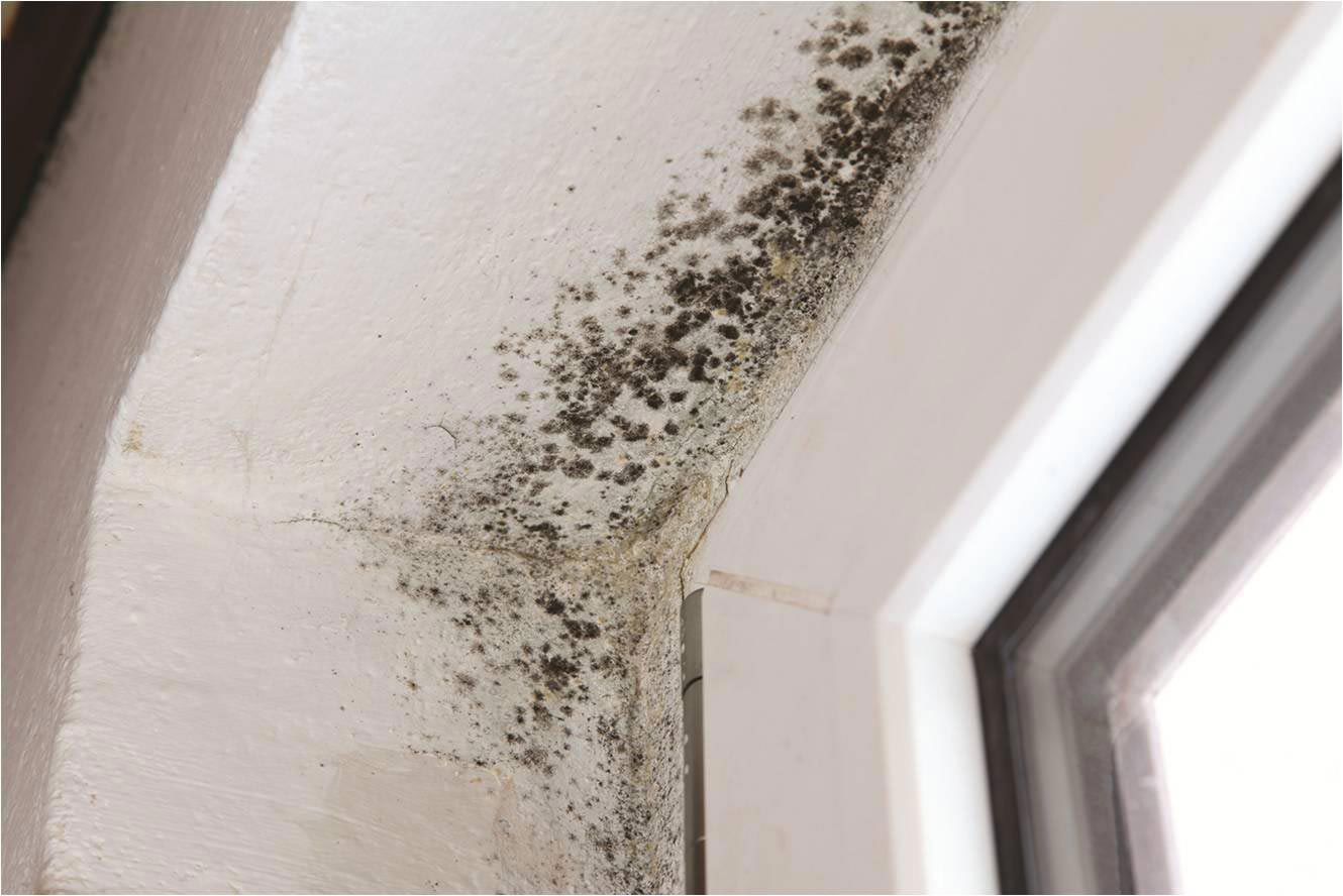 Sprečavanje nastajanja buđi - ventilacioni sistemi